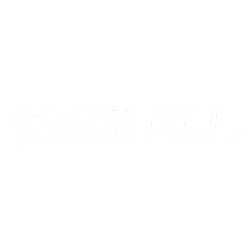 DOLLS KILL Customer of Fast Solutions Developer