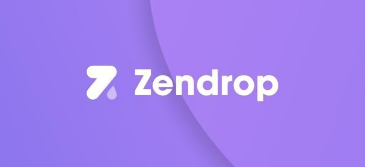 Exploring Zendrop: A Fast Solutions Developer's Perspective