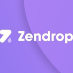 Exploring Zendrop: A Fast Solutions Developer's Perspective