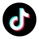 TikTok Partner of Fast Solution Developer